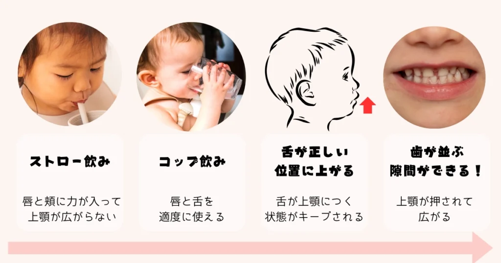 赤ちゃんのコップ飲みが良い理由|図解