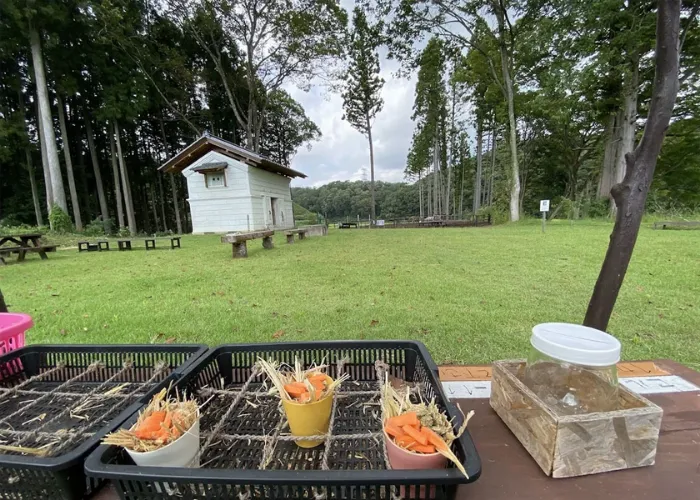 矢板市動物ふれあい広場|PLAYKNOLL