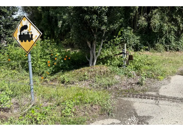 ポッポ農園｜写真スポット