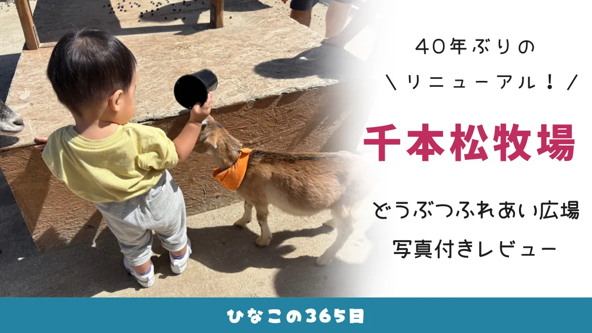 栃木県那須塩原市千本松牧場｜40年ぶりのリニューアル！動物ふれあい広場レビュー
